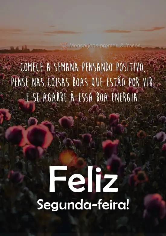 Comece a semana pensando positivo, pense nas coisas boas que estão por vir, e se agarre a essa boa energia. 
 Feliz Segunda-feira!