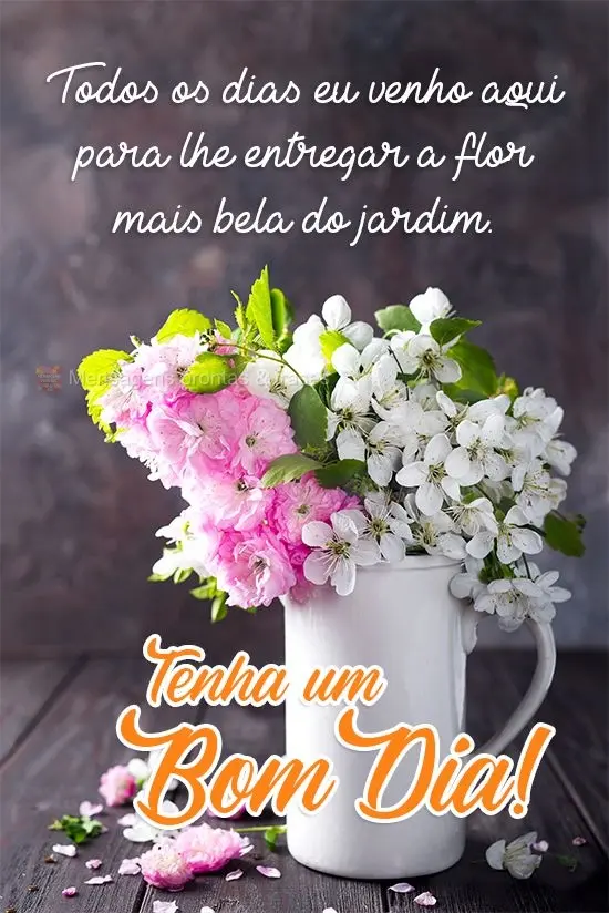 Todos os dias eu venho aqui para lhe entregar a flor mais bela do jardim. 
 Tenha um Bom Dia!