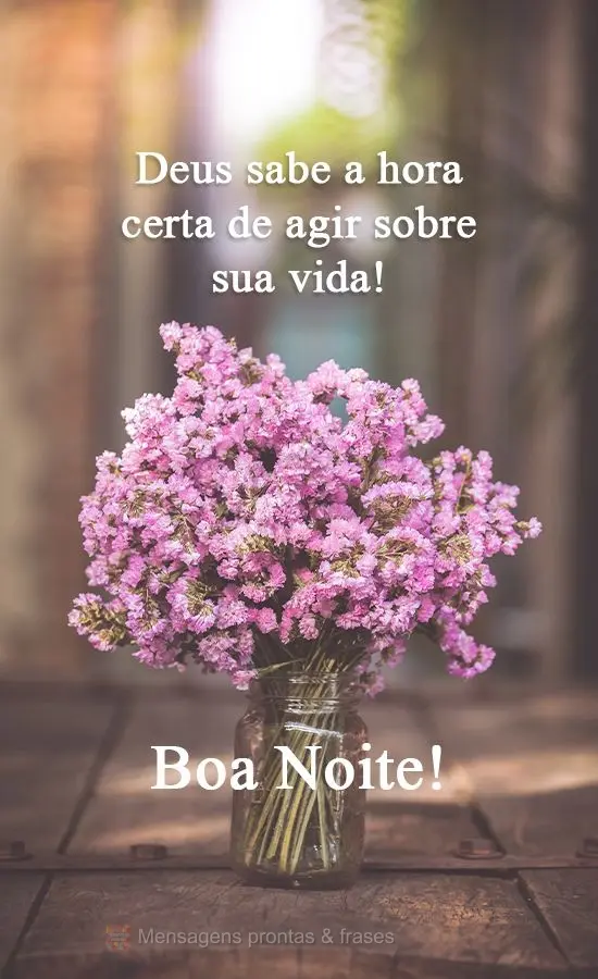 Deus sabe a hora certa de agir sobre sua vida!  Boa Noite!