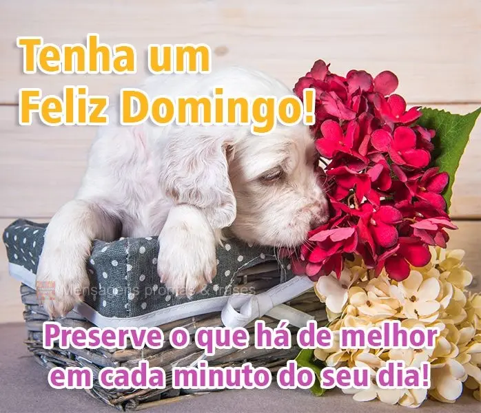 Preserve o que há de melhor em cada minuto do seu dia!
 Tenha um Feliz Domingo! 