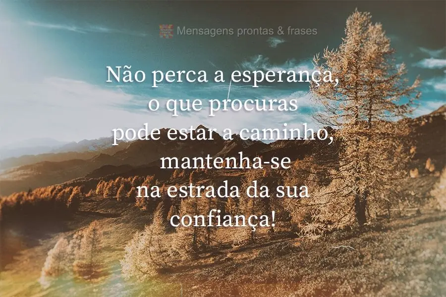 Não perca a esperança, o que procuras pode estar a caminho, mantenha-se na estrada da sua confiança!
