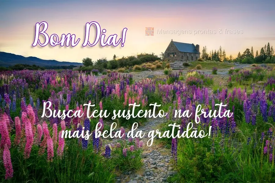 Busca teu sustento na fruta mais bela da gratidão!
 Bom dia! 
