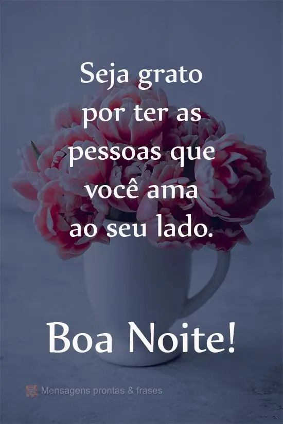 Seja grato por ter as pessoas que você ama ao seu lado.  Boa Noite!