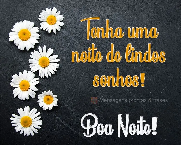 Tenha uma noite de lindos sonhos!  Boa Noite!