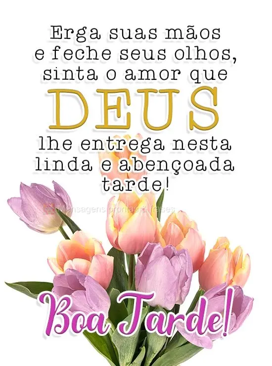 Erga suas mãos e feche seus olhos, sinta o amor que Deus lhe entrega nesta linda e abençoada tarde! 
 Boa Tarde!