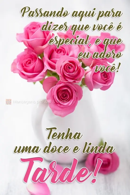 Passando aqui para dizer que você é especial, e que eu adoro você!
  Tenha uma doce e linda Tarde!