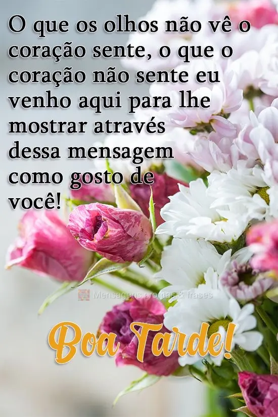 O que os olhos não veem o coração sente, o que o coração não sente eu venho aqui para lhe mostrar, através dessa mensagem, como gosto de você! 
...