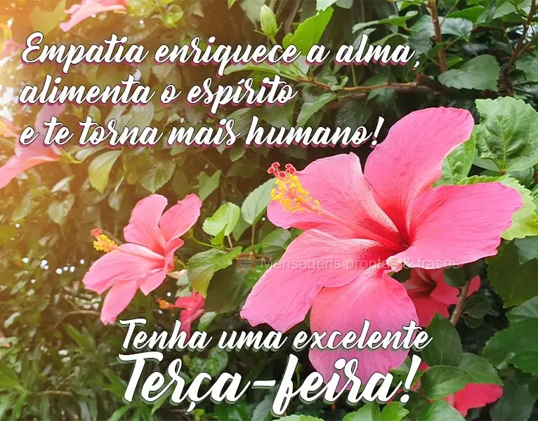 Empatia enriquece a alma, alimenta o espírito e te torna mais humano! 
 Tenha uma excelente Terça-feira!