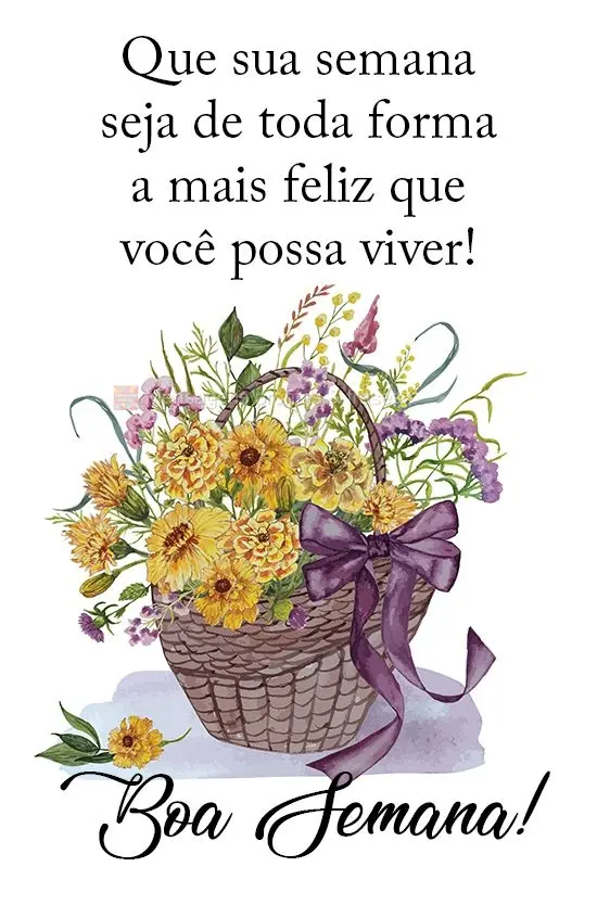 Que sua semana seja de toda forma a mais feliz que você possa viver!  Boa Semana!