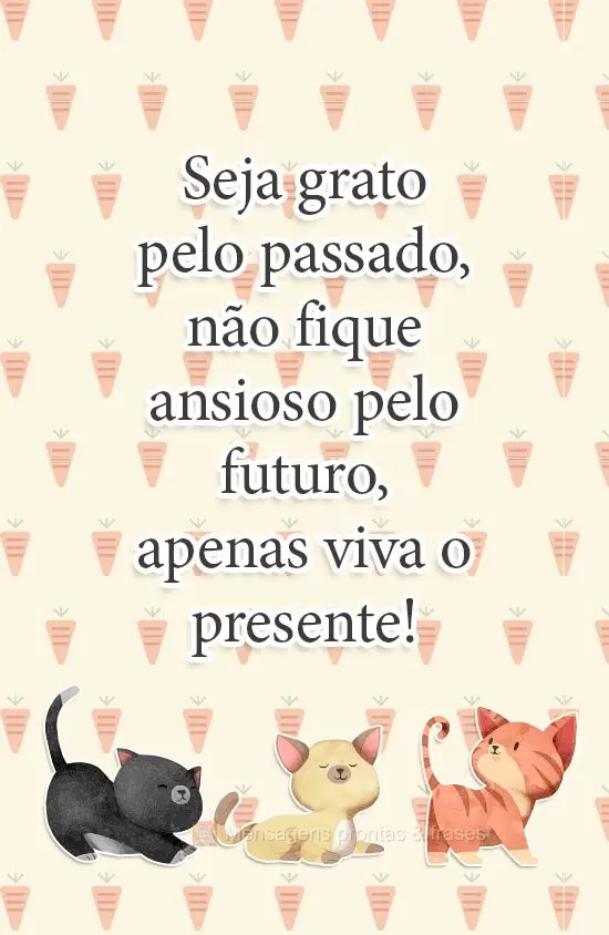 Seja grato pelo passado, não fique ansioso pelo futuro, apenas viva o presente! 
