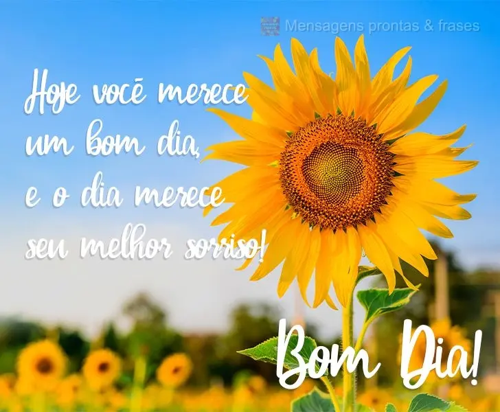 Hoje você merece um bom dia, e o dia merece seu melhor sorriso!
  Bom Dia!
