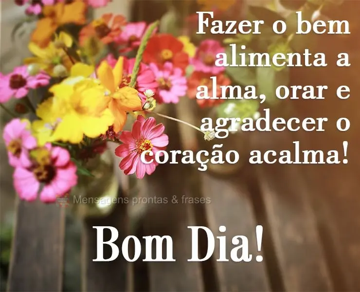 Fazer o bem alimenta a alma, orar e agradecer, o coração acalma! 
 Bom Dia!