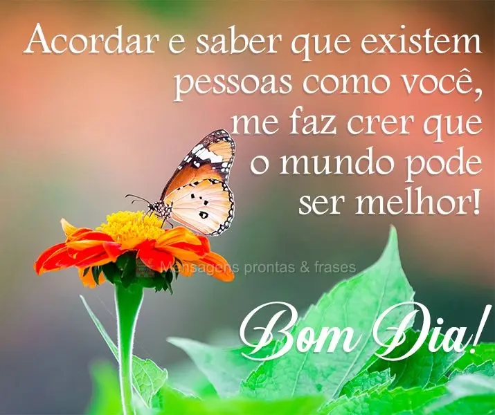 Acordar e saber que existem pessoas como você, me faz crer que o mundo pode ser melhor!  Bom Dia!