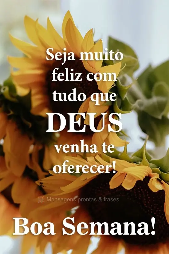 Seja muito feliz com tudo que Deus venha te oferecer!
 Boa Semana! 