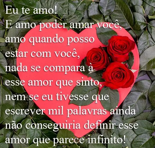 Eu te amo! E amo poder amar você, amo quando posso estar com você, nada se compara a esse amor que sinto, nem se eu tivesse que escrever mil palavras a...