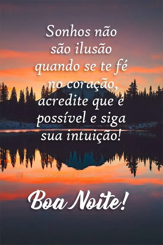 Sonhos não são ilusão quando se tem fé no coração, acredite que é possível e siga sua intuição!
  Boa Noite!