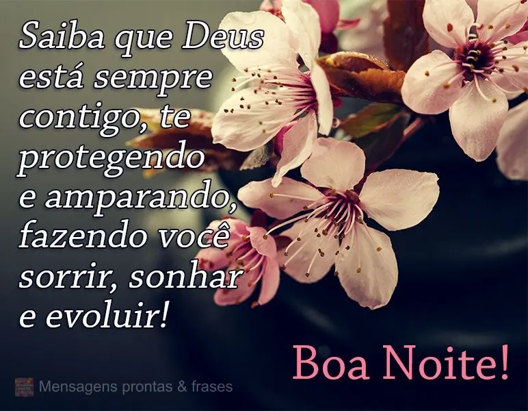 Saiba que Deus está sempre contigo, te protegendo e amparando, fazendo você sorrir, sonhar e evoluir! 
 Boa Noite!