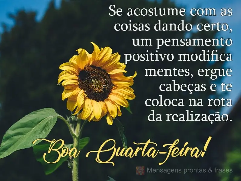 Se acostume com as coisas dando certo. Um pensamento positivo modifica mentes, ergue cabeças e te coloca na rota da realização.  Boa Quarta-feira!