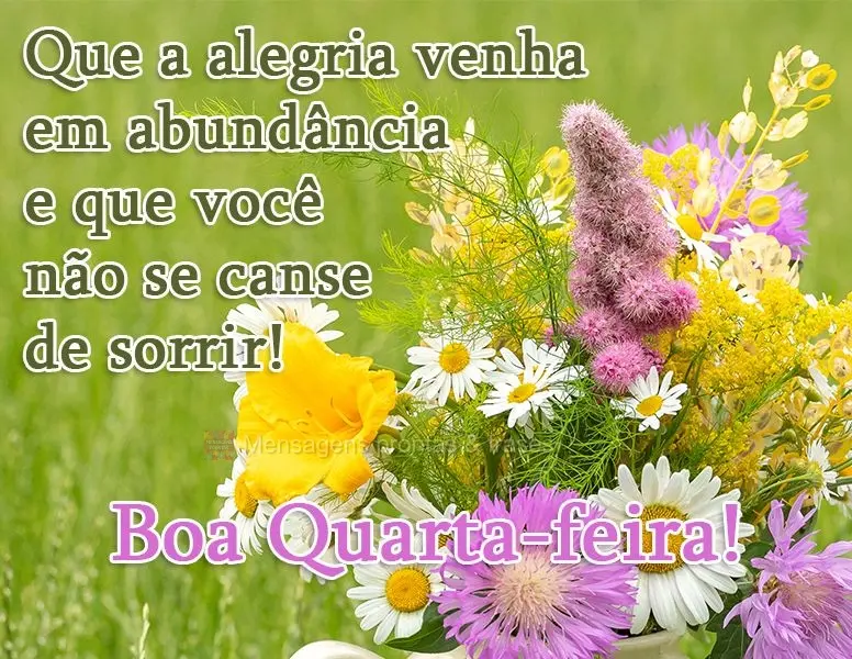 Que a alegria venha em abundância e que você não se canse de sorrir! 
 Boa Quarta-feira!