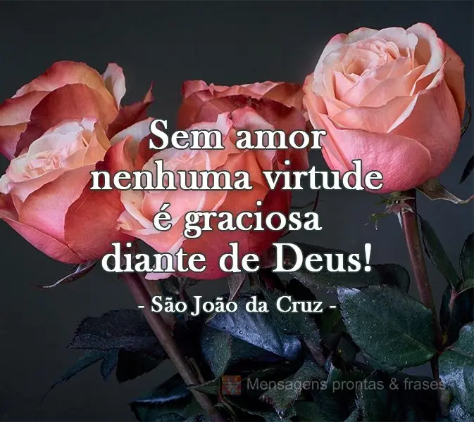 Sem amor nenhuma virtude é graciosa diante de Deus! 
 São João da Cruz