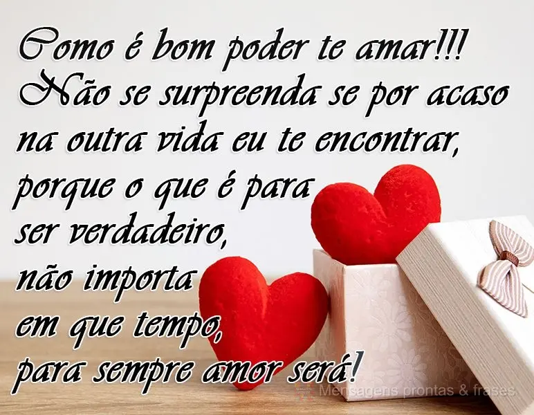 Como é bom poder te amar!!!Não se surpreenda se por acaso na outra vida eu te encontrar, porque o que é para ser verdadeiro, não importa em que tempo...