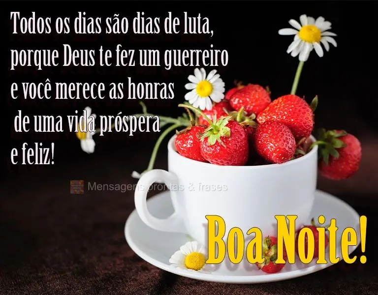 Todos os dias são dias de luta, porque Deus te fez um guerreiro e você merece as honras de uma vida próspera e feliz! 
 Boa Noite!