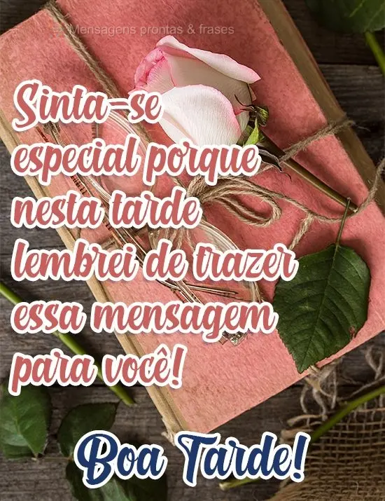 Sinta-se especial porque nesta tarde lembrei de trazer essa mensagem para  você! 
 Boa Tarde!