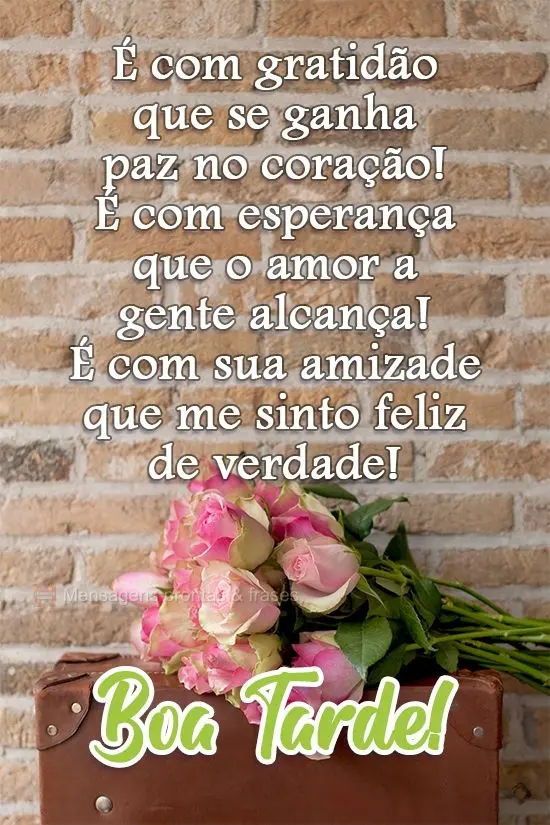 É com gratidão que se ganha paz no coração! É com esperança que o amor a gente alcança! É com sua amizade que me sinto feliz de verdade!  Boa Tar...