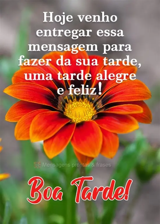 Hoje venho entregar essa mensagem para fazer da sua tarde, uma tarde alegre e feliz!  Boa Tarde!