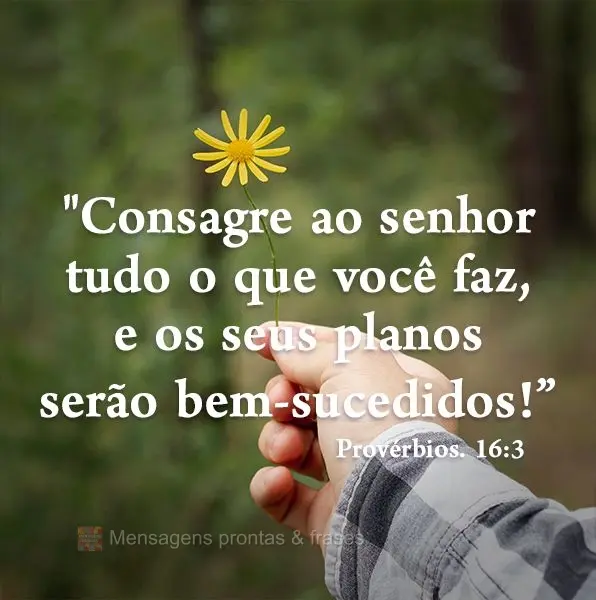 "Consagre ao senhor tudo o que você faz, e os seus planos serão bem-sucedidos!" Provérbios 16:3 