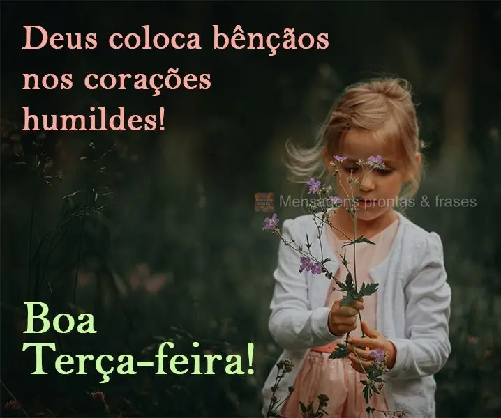 Deus coloca bênçãos nos corações humildes! 
 Boa Terça-feira!