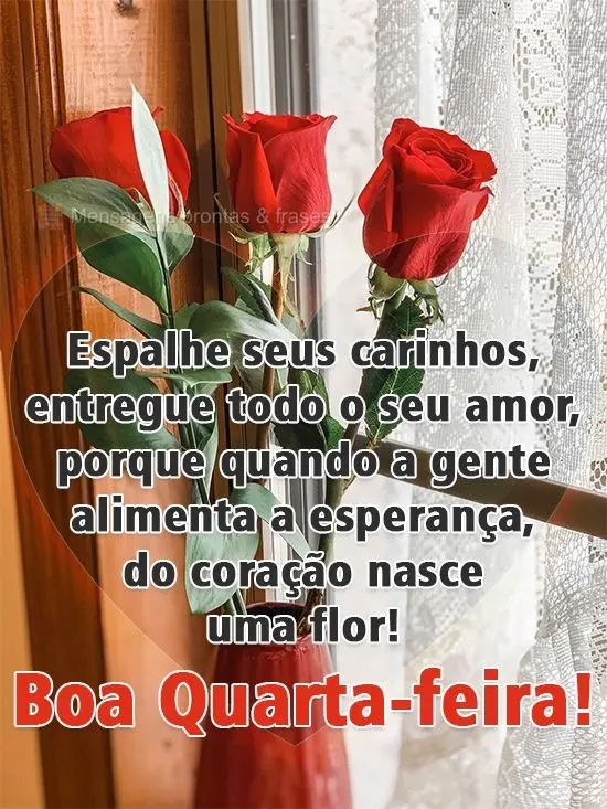 Espalhe seus carinhos, entregue todo o seu amor, porque quando a gente alimenta a esperança, do coração nasce uma flor! 
 Boa Quarta-feira!