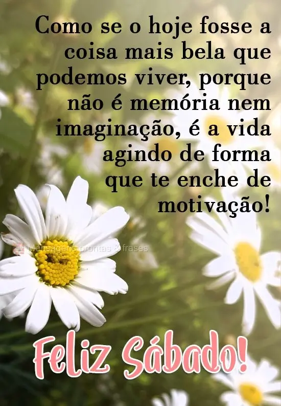 Viva como se o hoje fosse a coisa mais bela que podemos viver, porque não é memória nem imaginação, é a vida agindo de forma que te enche de motiva...