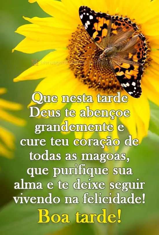 Que nesta tarde Deus te abençoe grandemente e cure teu coração de todas as mágoas, que purifique sua alma e te deixe seguir vivendo na felicidade!
 ...