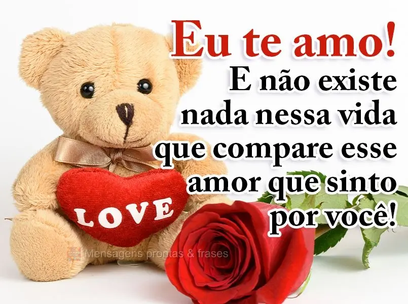 Eu te amo! E não existe nada nessa vida que compare esse amor que sinto por você!
