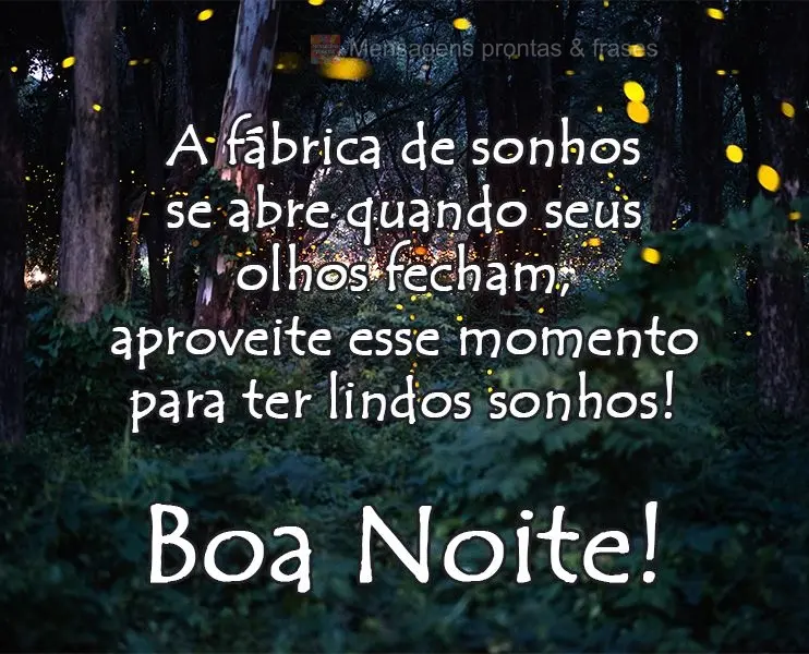 A fábrica de sonhos se abre quando seus olhos fecham, aproveite esse momento para ter lindos sonhos! 
 Boa Noite!