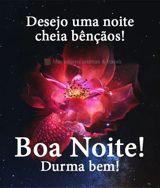 Desejo uma noite cheia de bênçãos!  Boa Noite! Durma bem! 