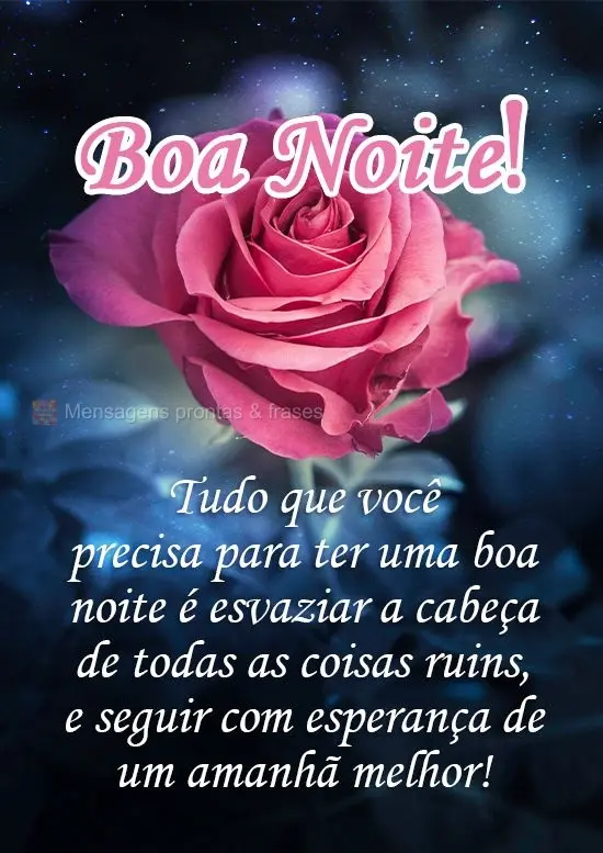 Tudo que você precisa para ter uma boa noite é esvaziar a cabeça de todas as coisas ruins, e seguir com a esperança de um amanhã melhor! 
 Boa Noit...