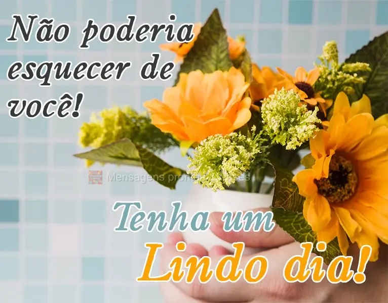 Não poderia esquecer de você!  Tenha um Lindo dia!