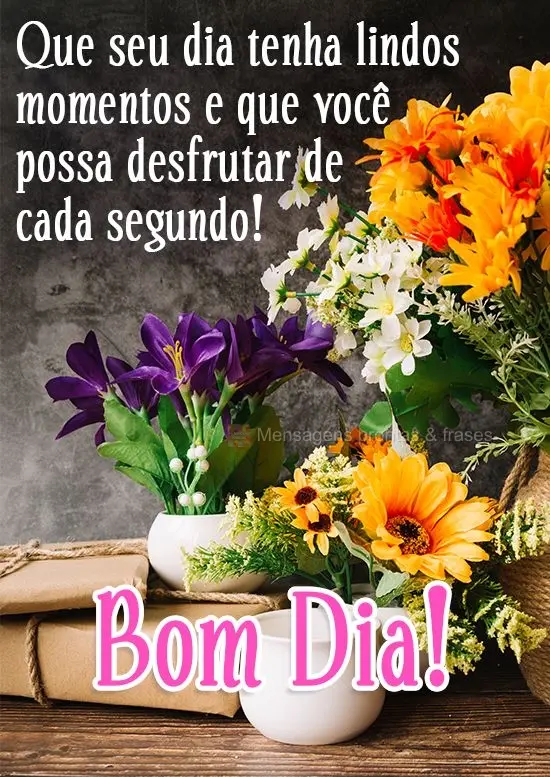 Que seu dia tenha lindos momentos e que você possa desfrutar de cada segundo! 
 Bom Dia!