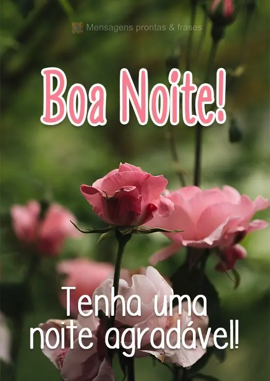 Tenha uma noite agradável!
 Boa Noite!