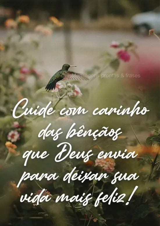 Cuide com carinho das bênçãos que Deus envia para deixar sua vida mais feliz!
