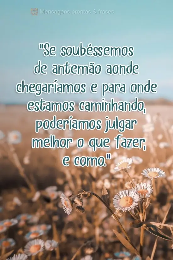 "Se soubéssemos de antemão aonde chegaríamos e para onde estamos caminhando, poderíamos julgar melhor o que fazer, e como." Autor Desconhecido