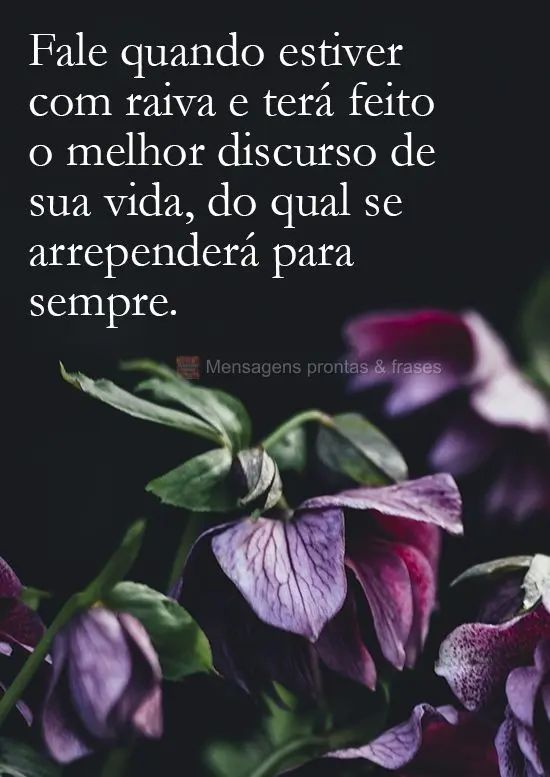 Fale quando estiver com raiva e terá feito o melhor discurso de sua vida, do qual se arrependerá para sempre.