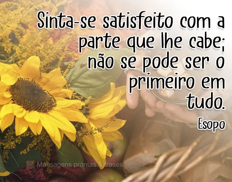 "Sinta-se satisfeito com a parte que lhe cabe; não se pode ser o primeiro em tudo." Esopo