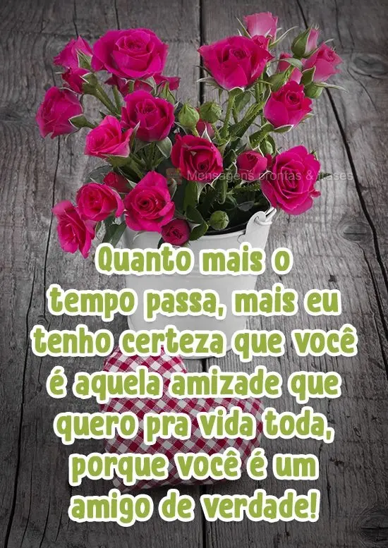 Quanto mais o tempo passa, mais eu tenho certeza que você é aquela amizade que quero pra vida toda, porque você é um amigo de verdade!
