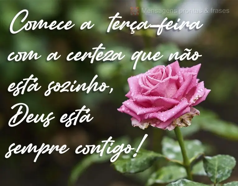 Comece a  terça-feira com a certeza de que não está sozinho, Deus está sempre contigo!
