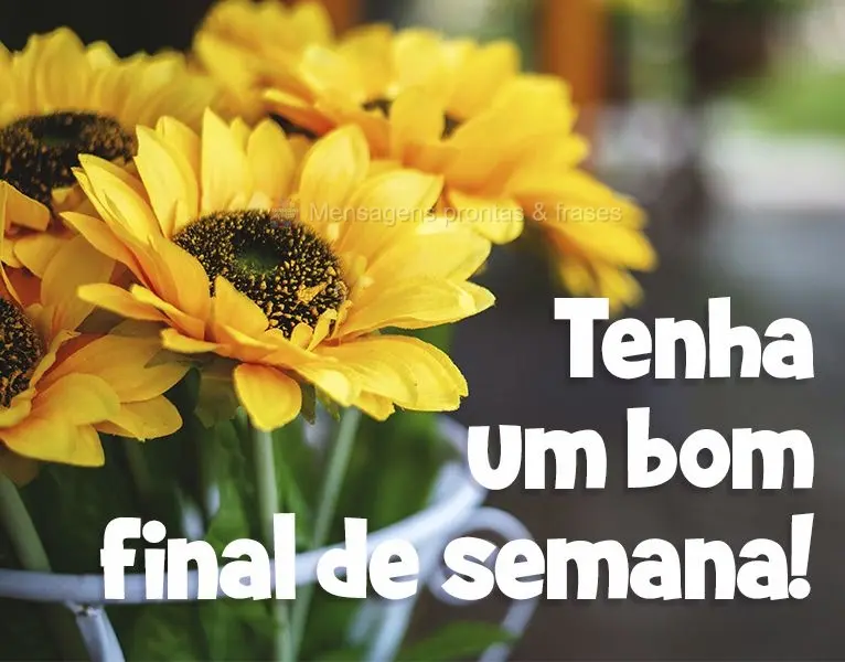 Tenha um Bom final de semana!
