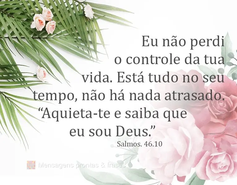 Eu não perdi o controle da tua vida. Está tudo no seu tempo, não há nada atrasado. “Aquieta-te e saiba que eu sou Deus.”
  Salmos. 46.10