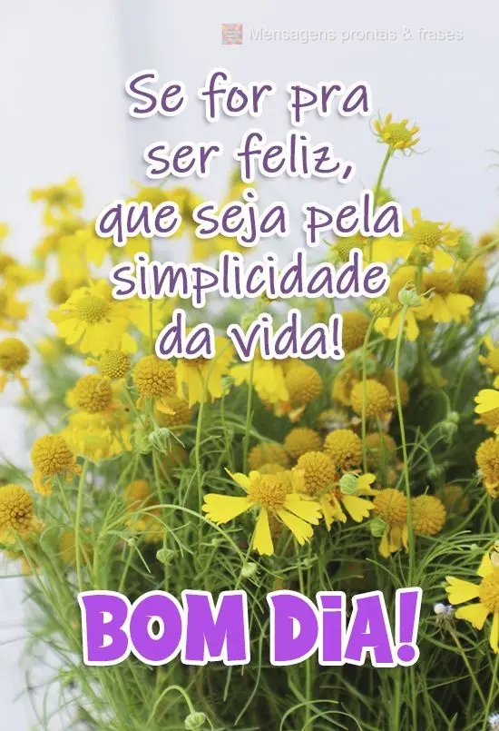 Se for pra ser feliz, que seja pela simplicidade da vida! 
 Bom dia!